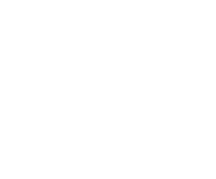 Zleap
